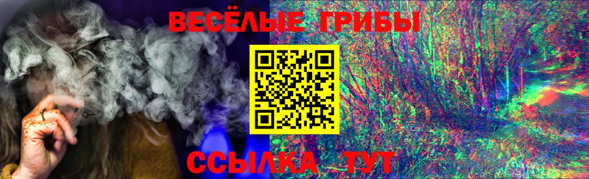 Омск  Галлюциногенные грибы Cubensis  Вход с VPN 