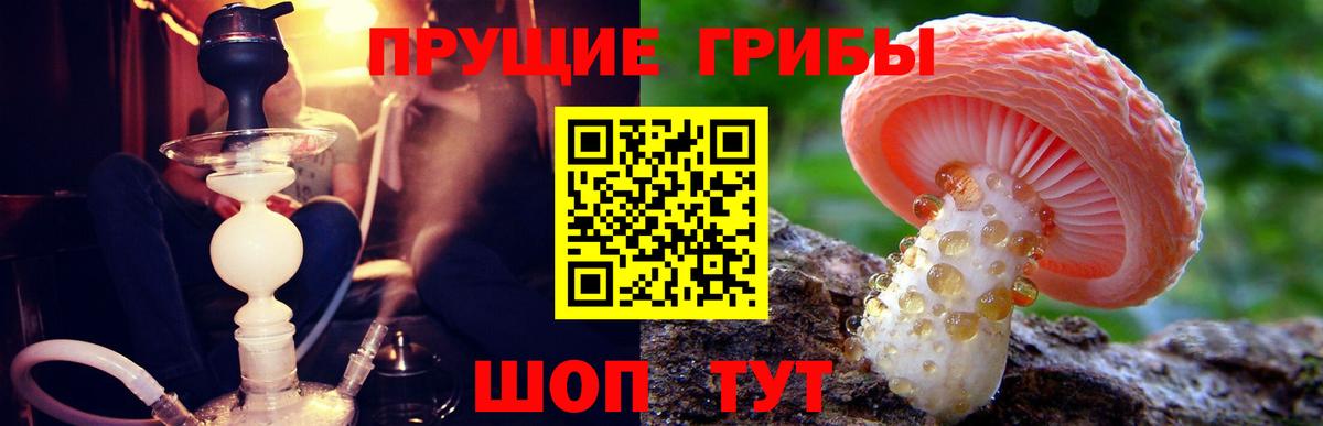 Галлюциногенные грибы ЛСД Омск